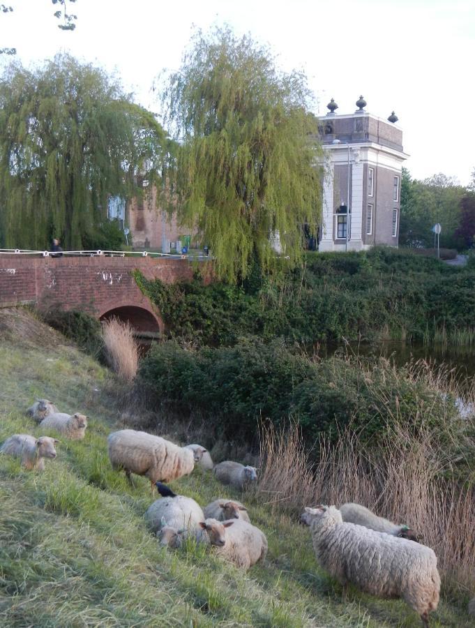 Logies De Zeeuwse Klei, Een Gezellig Jaren 30 Huis Middelburg Ngoại thất bức ảnh